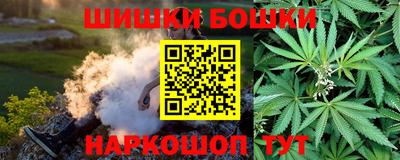 мдпв Бердск