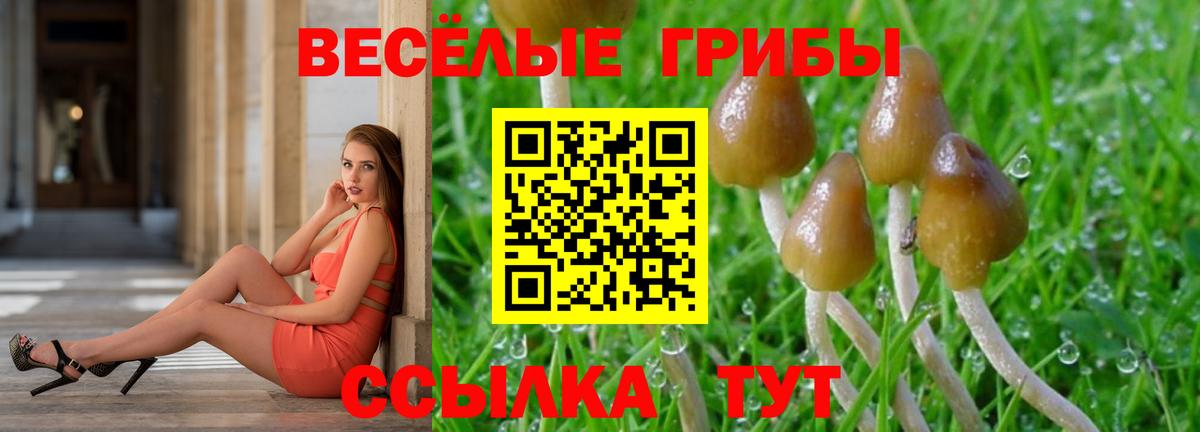 Галлюциногенные грибы MAGIC MUSHROOMS Кимры